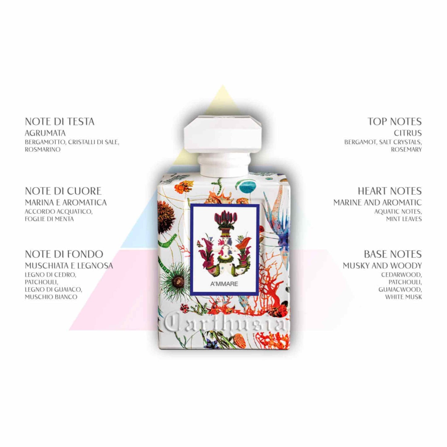 CARTHUSIA A'mmare Reeddiffuser 230 ml